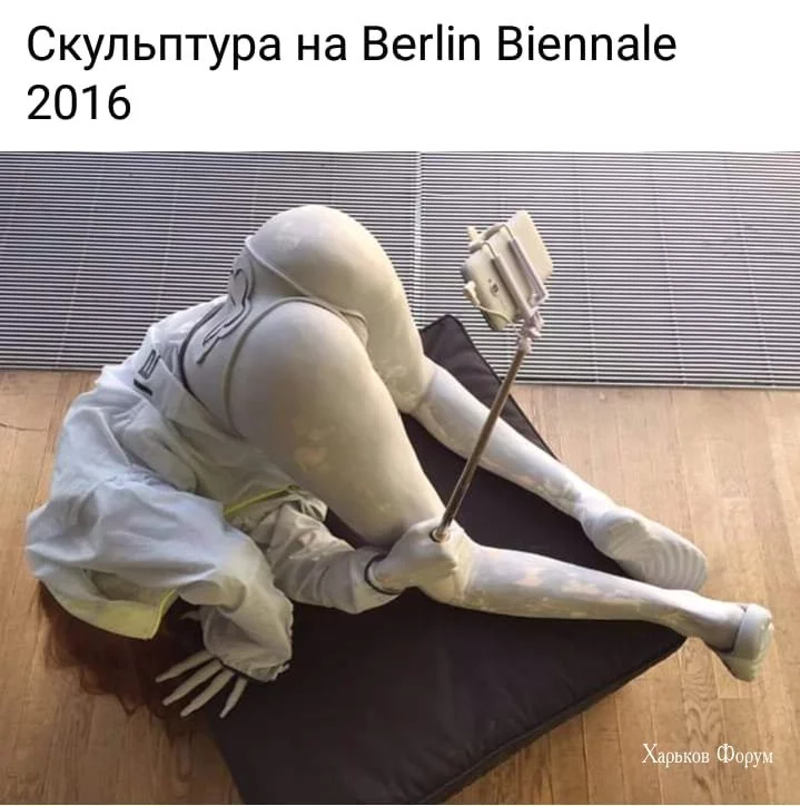 f033301561941df581b92.webp