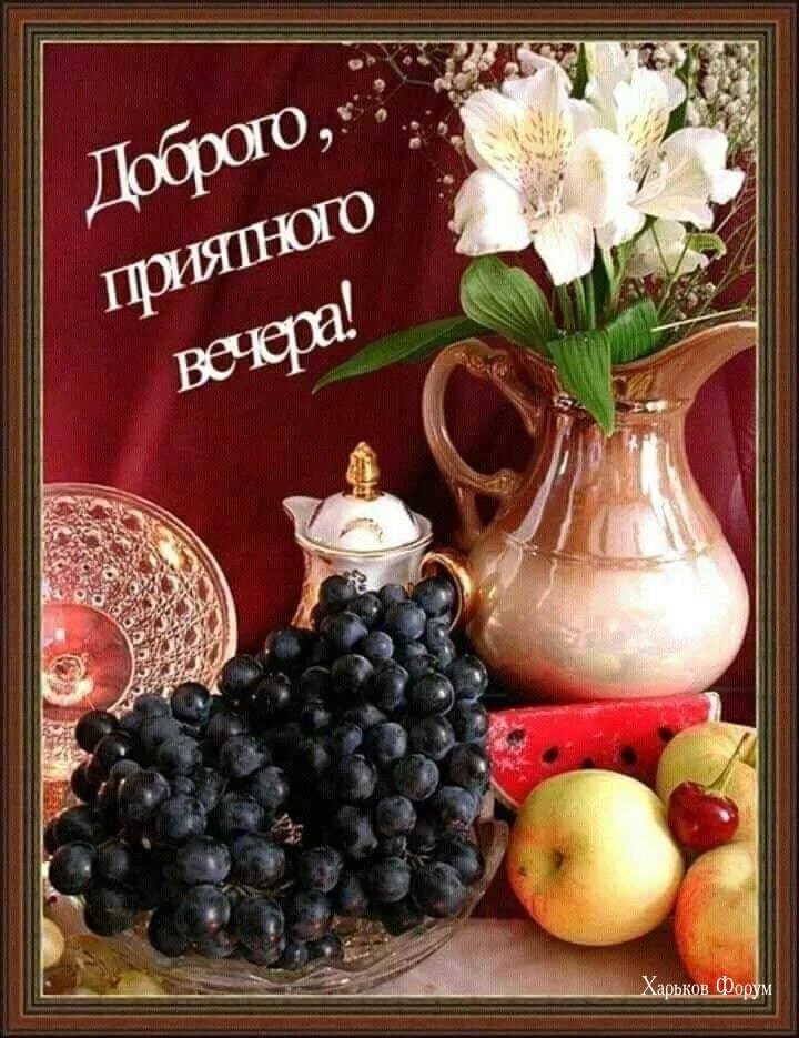 f034e898b8368b7781ac.webp