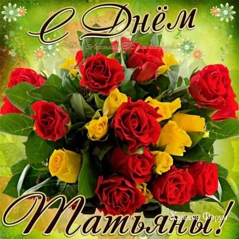 f04965f9f8ed1a41d8d41a39.webp
