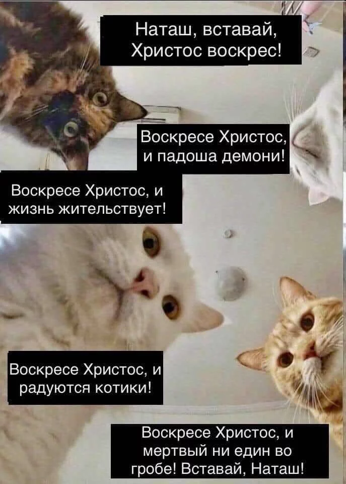 f0576d3db71d346f1b7549218b923cfdd2d7b20f.webp