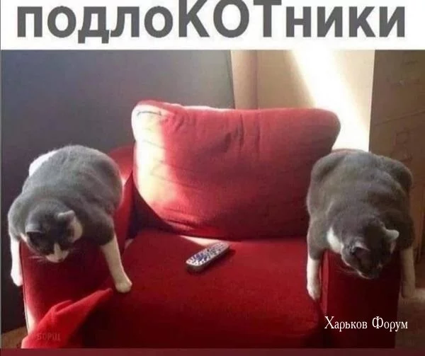f05ec1cfa6534ed8205eb0.webp