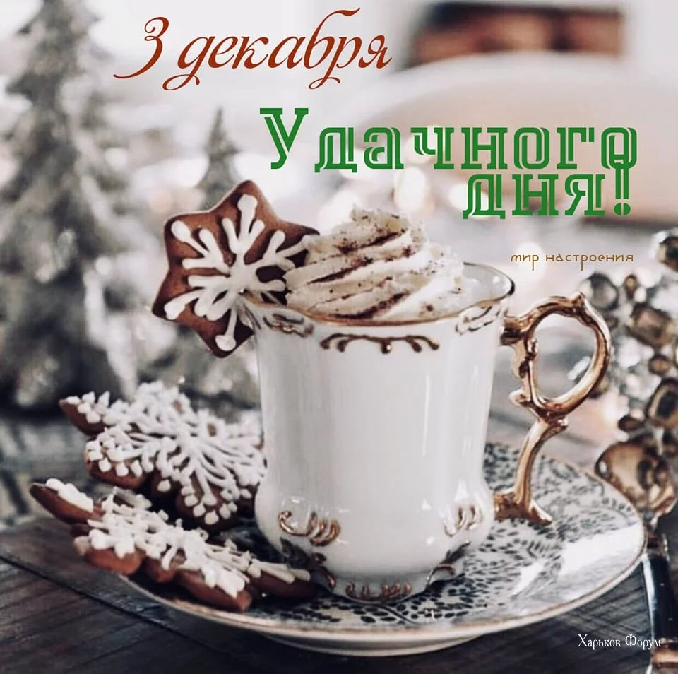 f0702e7ba6a2999e888ec.webp