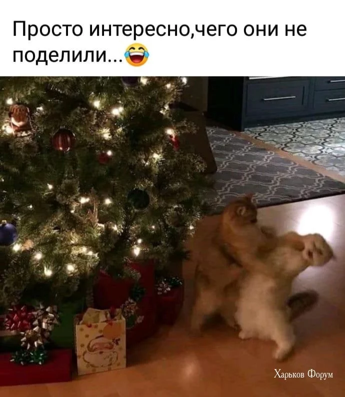 f0750426fd012e9bc5ae2.webp