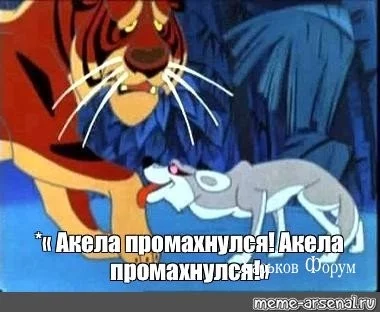 f07833aca064417090dd.webp