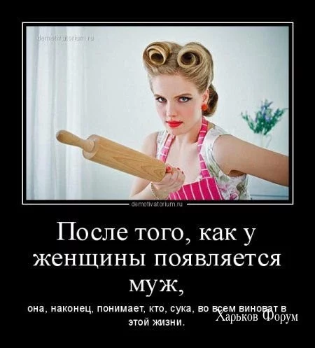 f09121b8788df875270e.webp