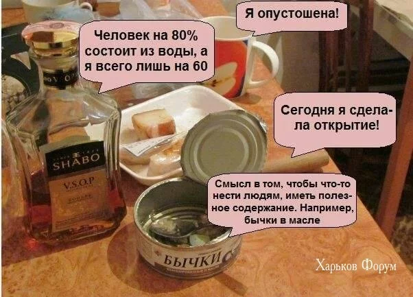 f0c73a243df56465c.webp