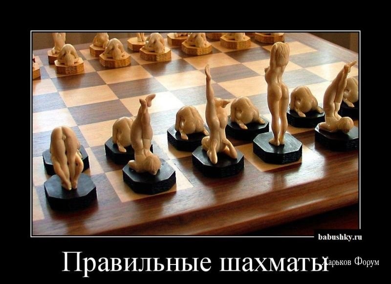 f0c77b98f214a806676909fe.jpg
