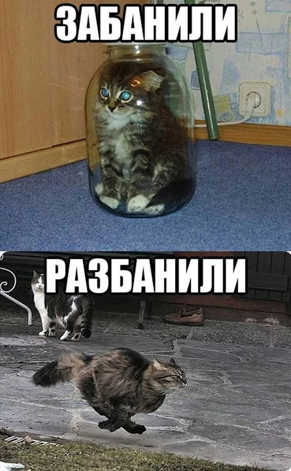 f0dbdf.webp