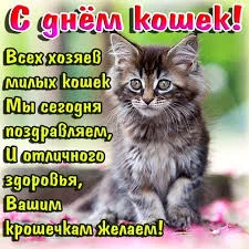 f0dhef.webp