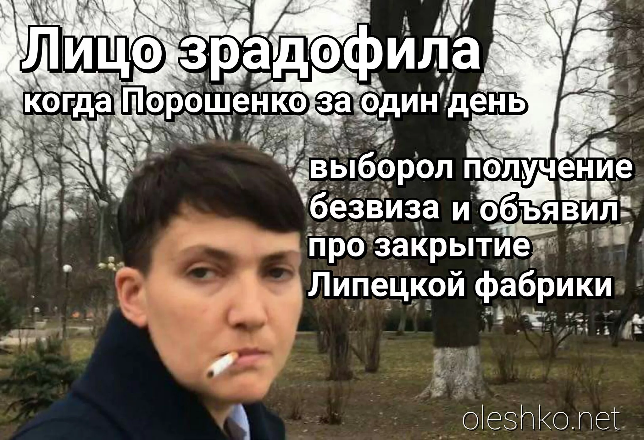 f0eada.webp