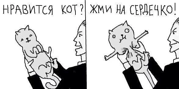 f0fjjc.webp