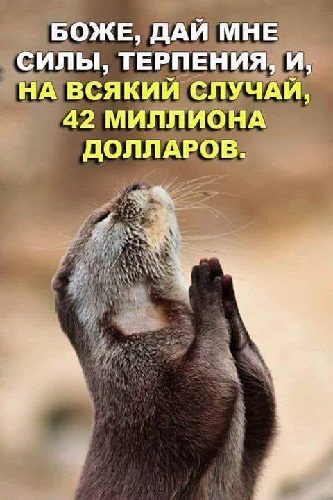 f0jbee.webp