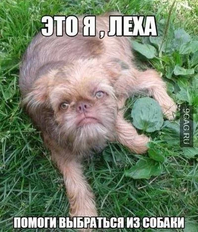 f0jbfd.webp