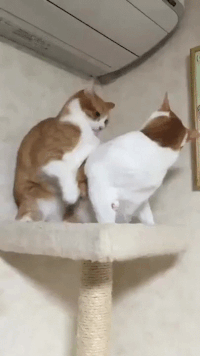 f11837fbb1c4a93753f7171.gif