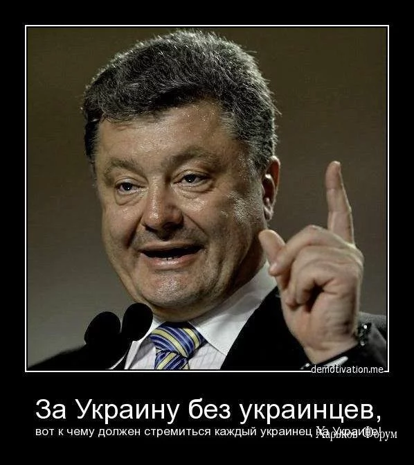 f123c16fb22cca343ecceed.webp