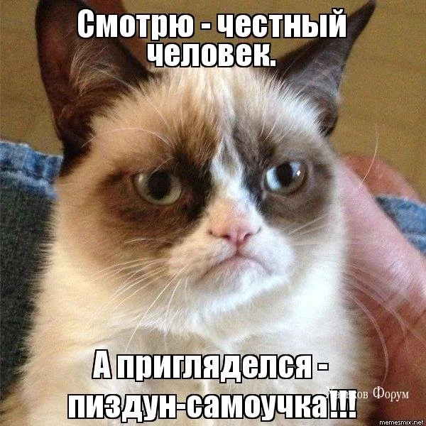 f1288ca2f10eee2309.webp