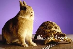 f14176596c5b63abf5cdb.webp