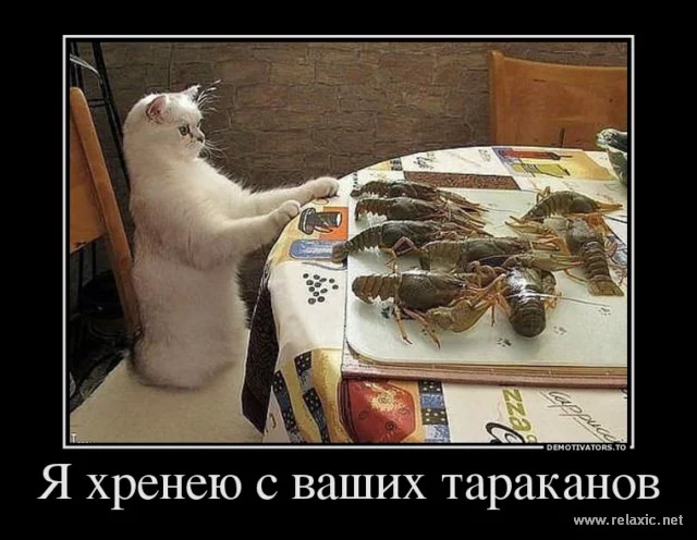 f142faf2cf6dc12a19898bdfe1418cb0.webp