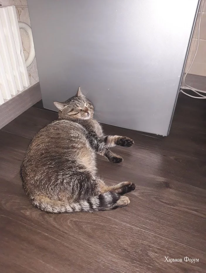f1561b06ff7cee5eb04eeaa.webp