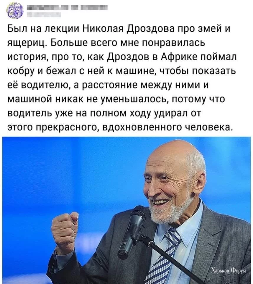 f1681d314134f29a9a805.webp
