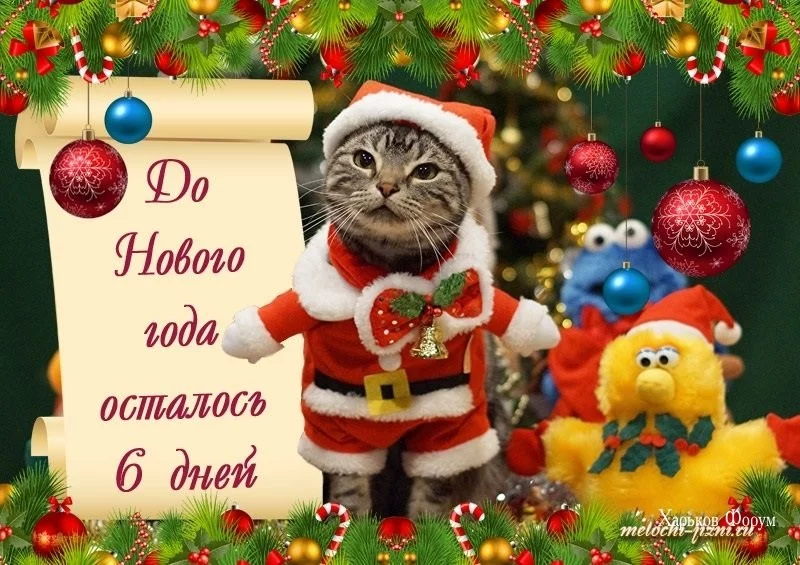 f175c3174b33517c.webp