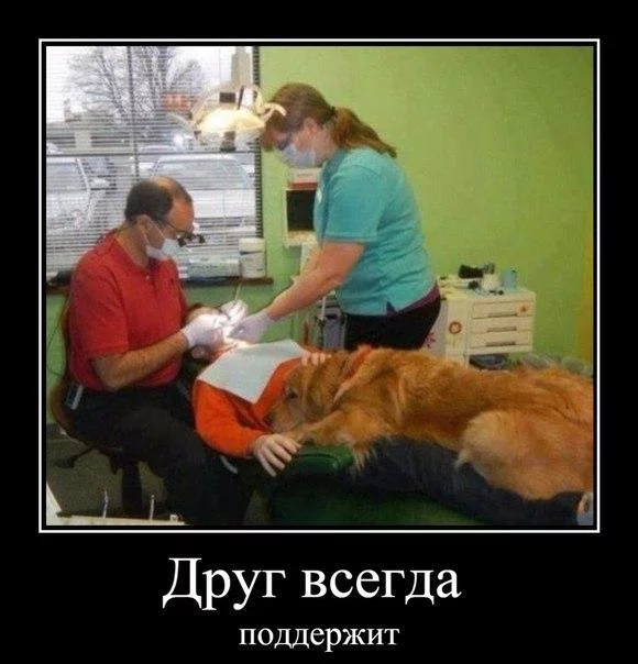 f178b7f001ef3c78d8f123d80a26a01c.webp