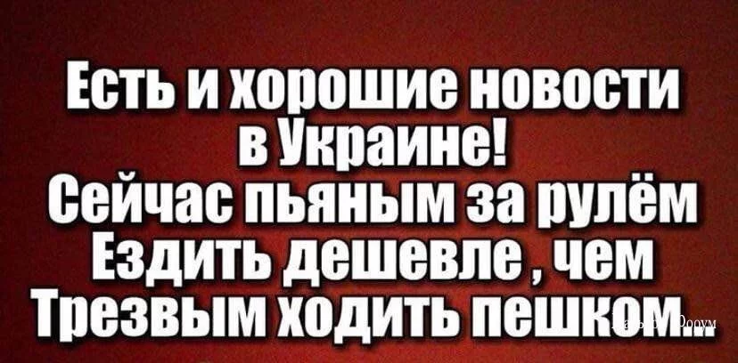 f17b7588d6e924e58ac6f7.webp