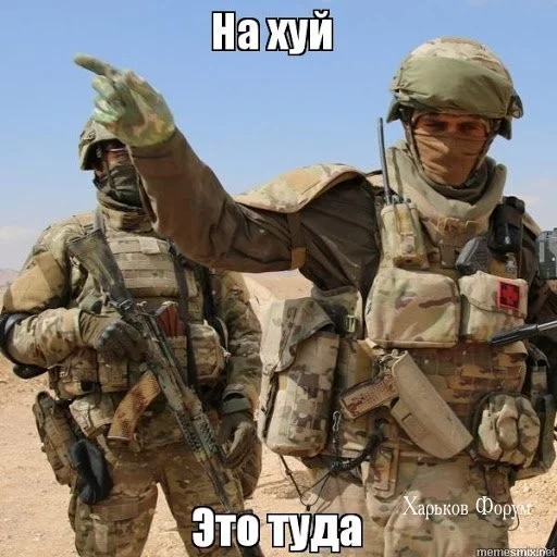 f183d138e5f278e0f852e.webp