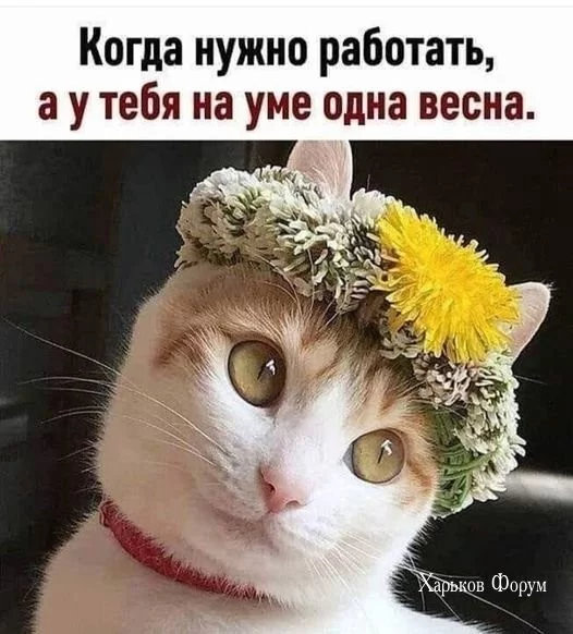 f195793a7a0d01ee1ae.webp