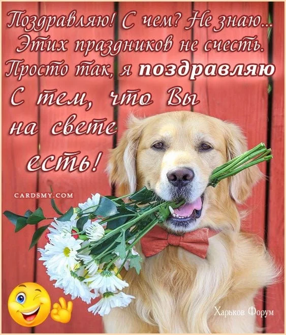 f198d0f0ad30b2dc2a538098.webp