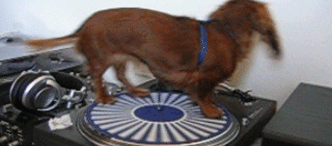 f1adje.gif