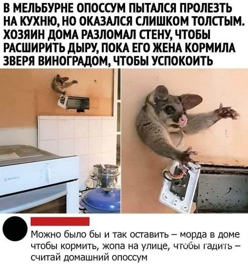 f1b8241fac7af27a242.webp