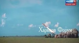 f1c40596e0d0b80119e.webp