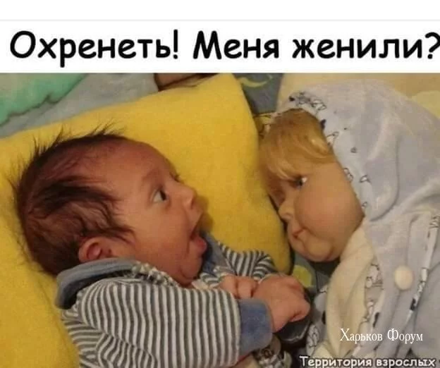 f1c9da8dae283ccf56f.webp
