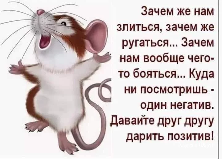 f1f141dd664cab3818.webp