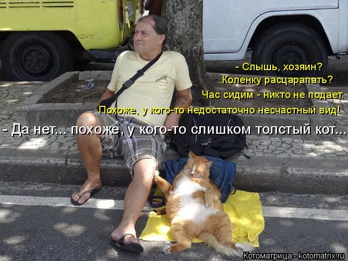f1jggd.webp