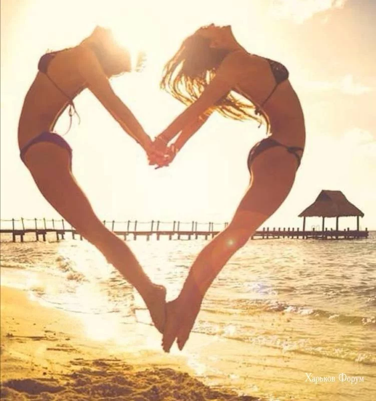 f201f053a571e359.webp