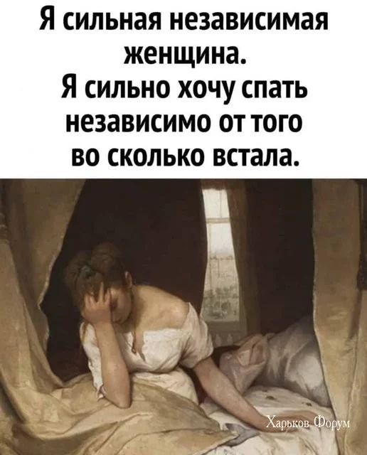 f2107ed84f88e51b.webp