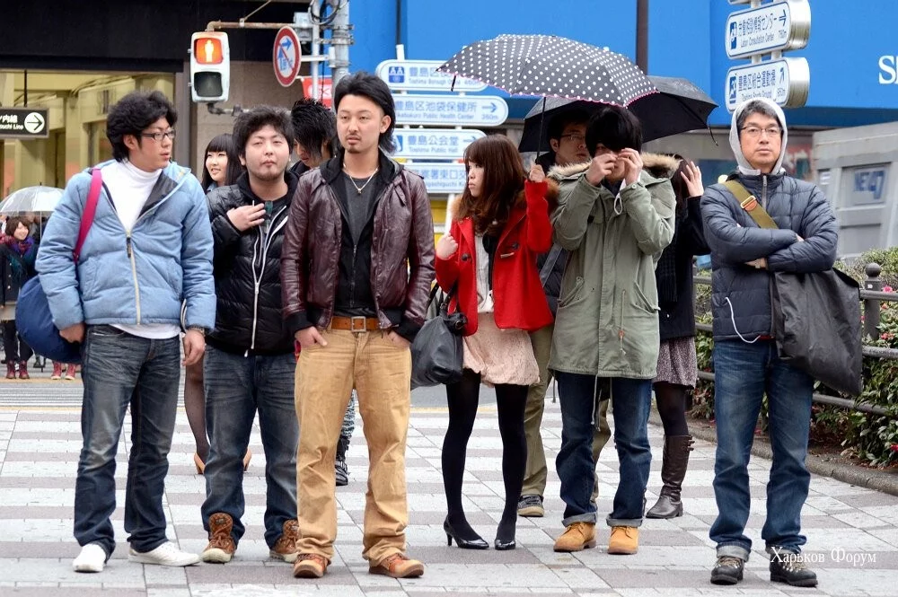 f2169da8b39187867.webp