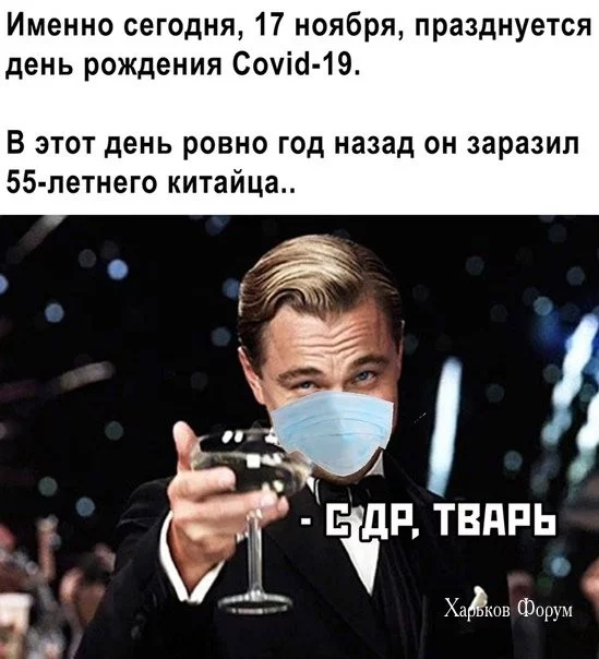 f236acf79007f3df9f9388.webp