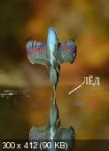 f2389df8fd71af26a5ca3f9e92512cd9.webp