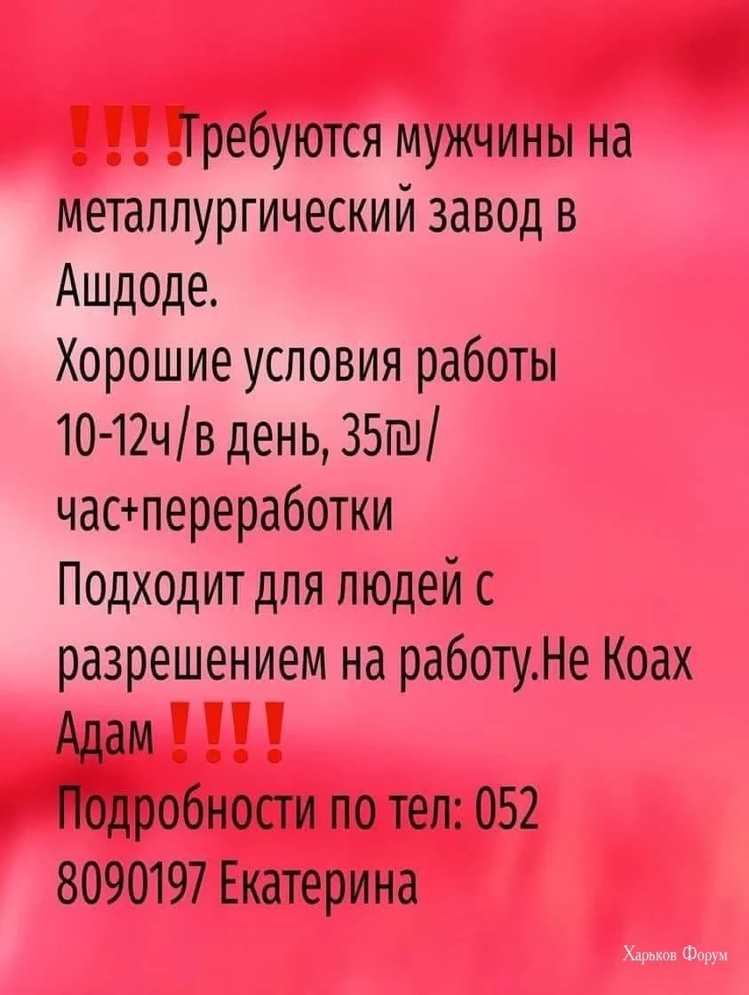 f2449ec6f54304b012e1f.webp