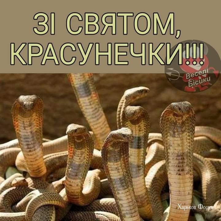 f2487195b7dea00dc433ff.jpg