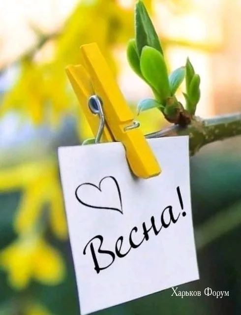 f2546621317ca2a1b12.webp