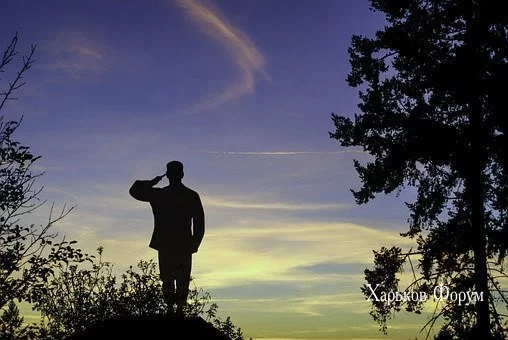 f26734b4cbde001e.webp