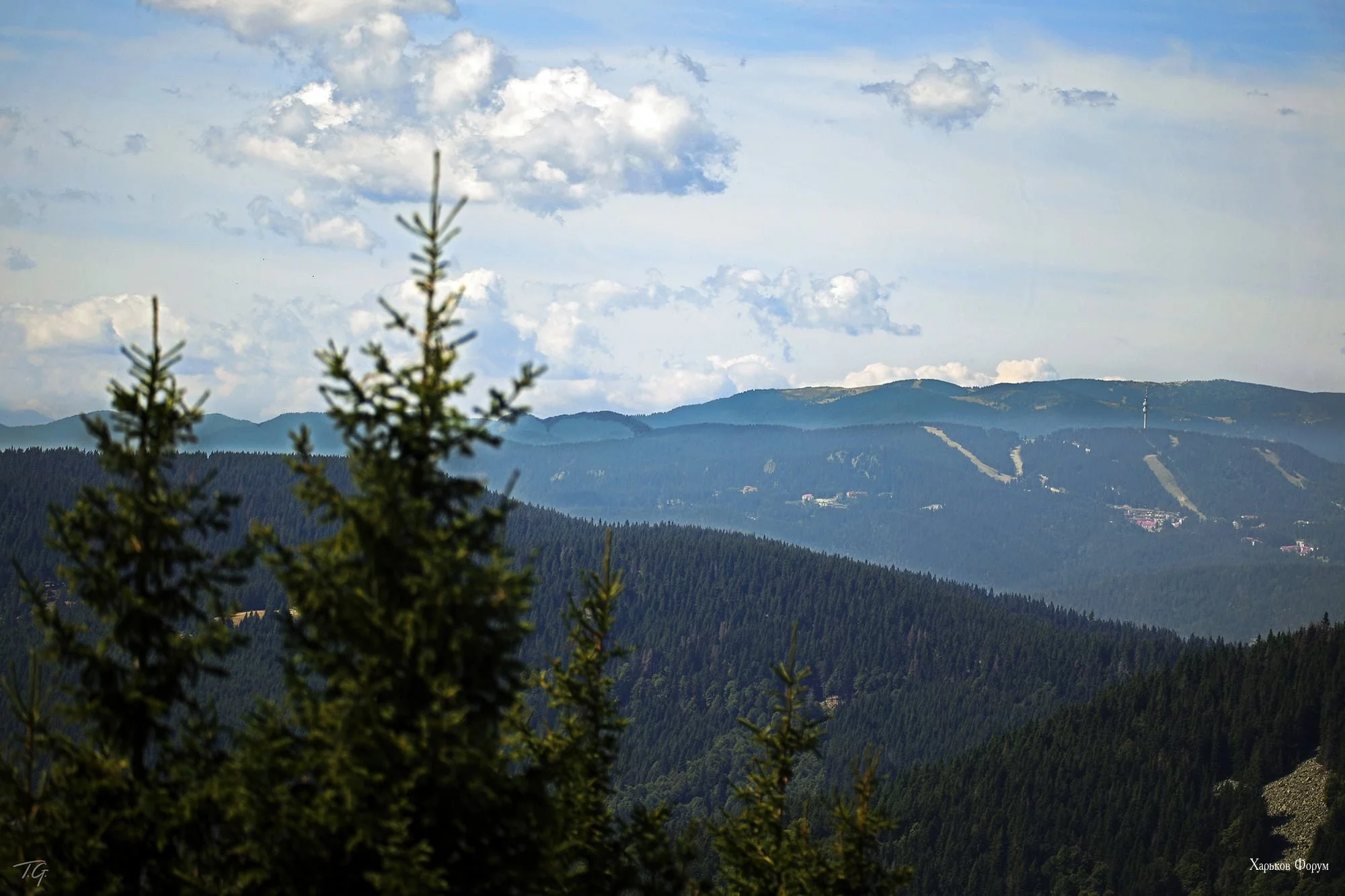 f273cf6d0c731414eb7242.webp