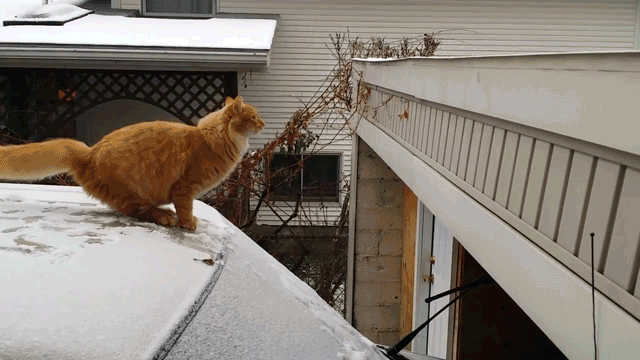 f27e589b704a6097e5e2d40e.gif