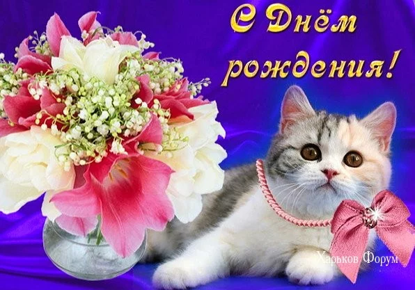 f29bc92c1ea5b77c883b.webp