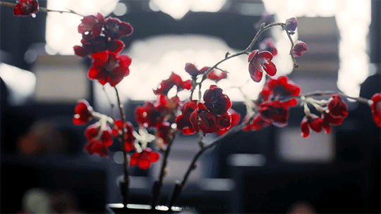 f2ab297b703608303ba42728337227245a892e1d.gif