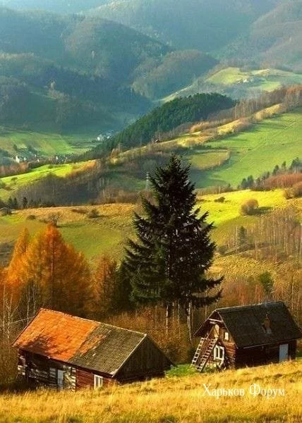 f2abd3f91275dce547c7.webp